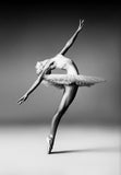 Canvas Print Picture Ballet inspired Wall Art