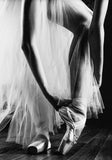 Canvas Print Picture Ballet inspired Wall Art